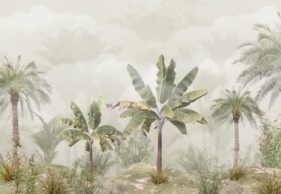 Fototapete mit Bäumen in einem tropischen Dschungel Bananenbäume im Nebel - Bild Nummer 2