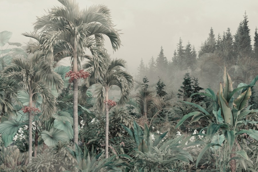 Grüner Wald üppige Vegetation im Nebel Tapete für Schlafzimmer - Bild Nummer 2