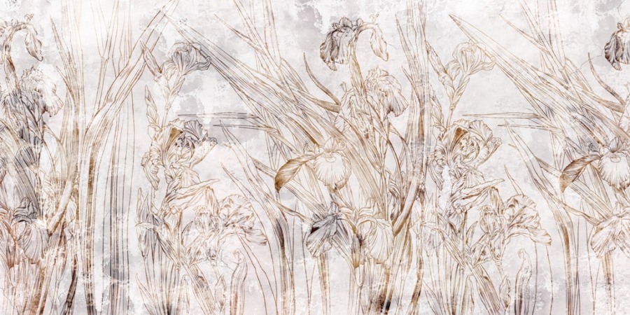 Fototapeta z florystycznym rysunkiem brązową kreską Delikatny Kwiat Irysu - główne zdjęcie produktu
