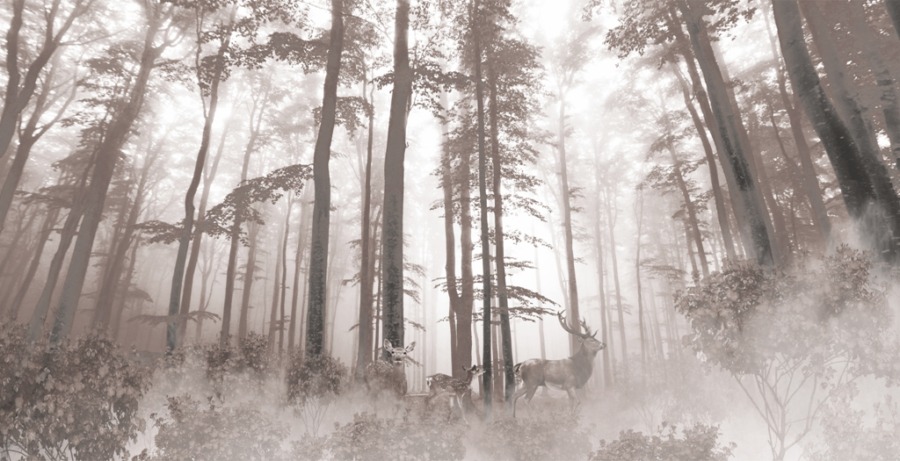 Wandgemälde eines Rehs in einem nebelverhangenen Wald Dichter Waldnebel - Foto 2