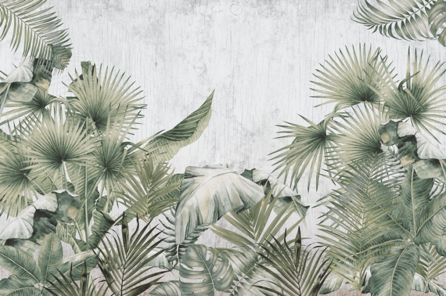 Fototapete mit exotischen Pflanzen in Grau Palmblätter auf grauem Hintergrund - Bildnummer 2