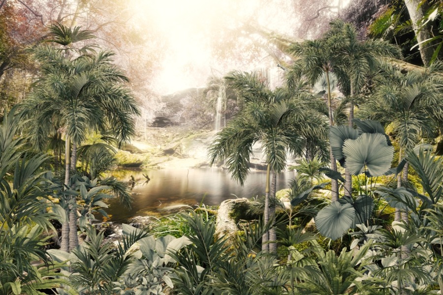 Fototapete mit einer exotischen Landschaft im Nebel Magischer Wasserfall im tropischen Dschungel - Bild Nummer 2