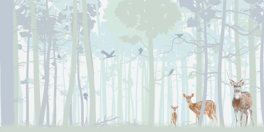 Fototapete mit Hirschen im Wald Hirschfamilie für Kinderzimmer - Bild Nummer 2