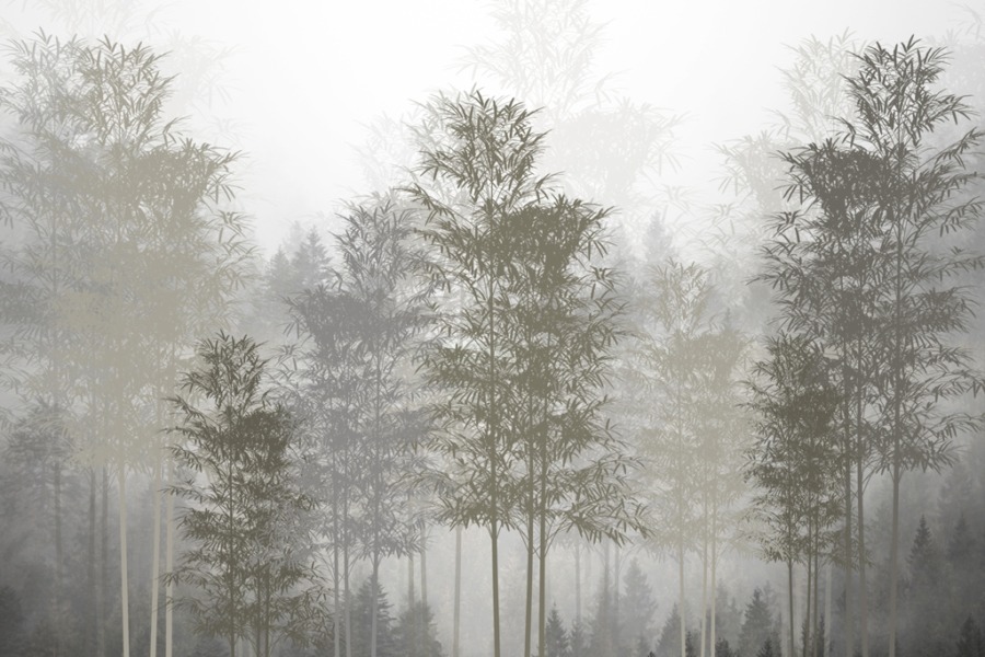 Fototapete mit Bäumen in Grautönen Slender Trees in Mist - Bild Nummer 2