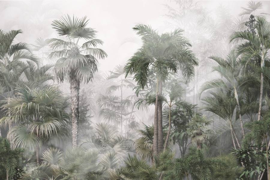 Neblige Landschaft auf einer paradiesischen Insel Tropics in the Mist - Bild Nummer 2