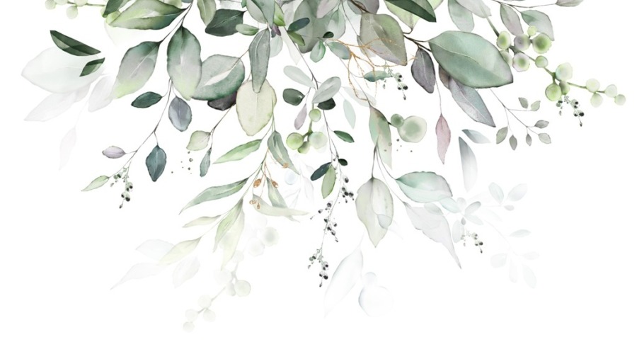 Grün und weiß Zarte Blätter Fototapete - Bild Nummer 2