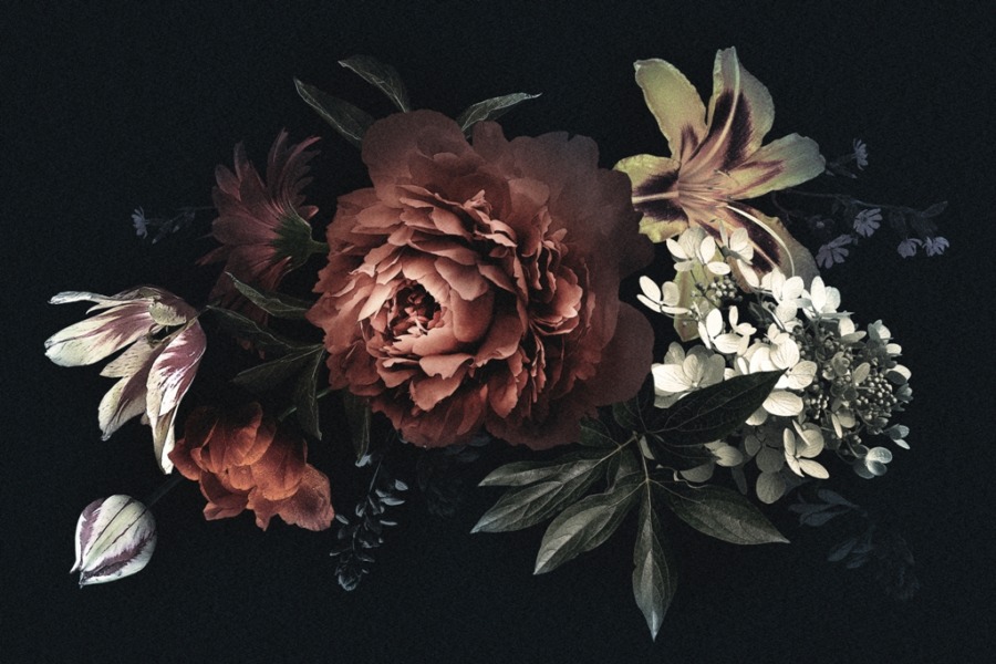 Fototapeta z  motywem kwiatowym na czarnym tle Kwiaty Na Ciemnym Tle do salonu - zdjęcie numer 2