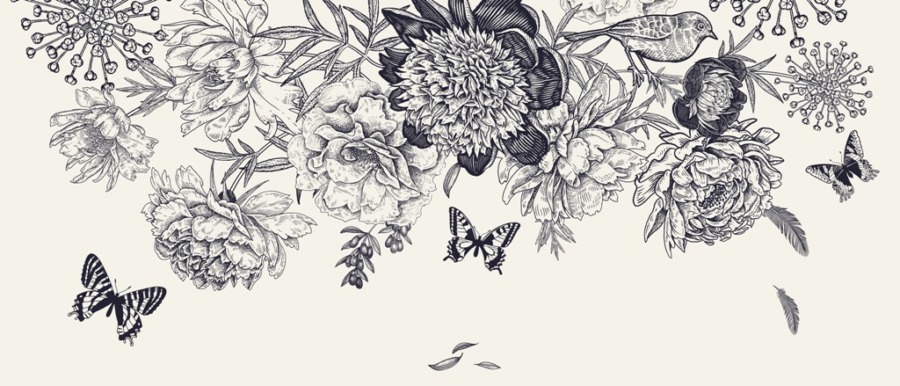 Fototapeta z motywem roślinnym wykonana ciemną kreską Kwiaty i Motyle - zdjecie numer 2