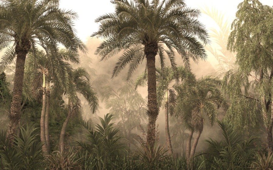 Tropische Motivtapete in warmen Farben High Palms in the Sun - Bild Nummer 2