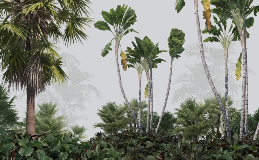 Fototapete mit hohen Palmen im Nebel Tropisches Grün und Nebel - Bild Nummer 2