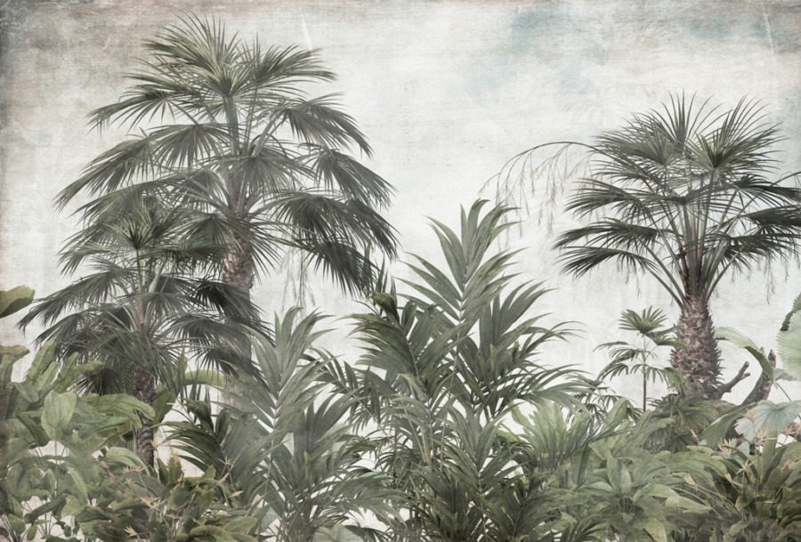Fototapete mit hohen Palmen auf grauem Hintergrund Dunkelgrün im Dschungel - Bild Nummer 2