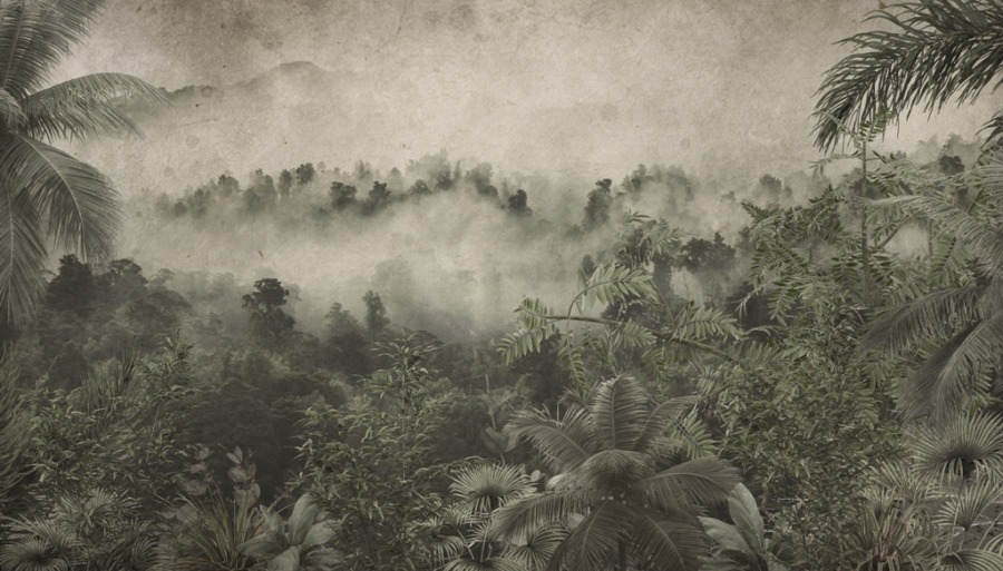 Fototapete in Grün- und Grautönen Fallender dichter Nebel - Bild Nummer 2
