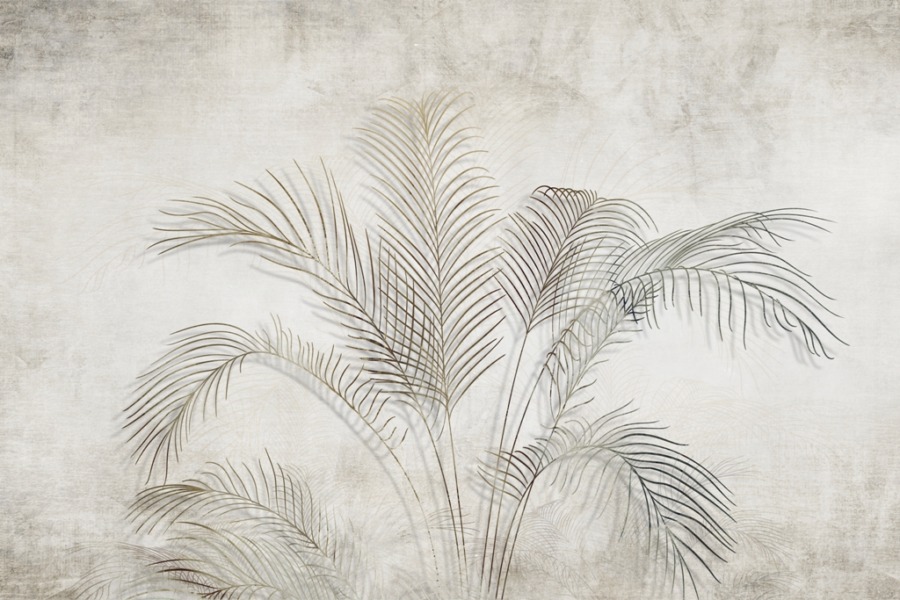 Fototapete mit einer exotischen Palme im Nebel - Bild Nummer 2