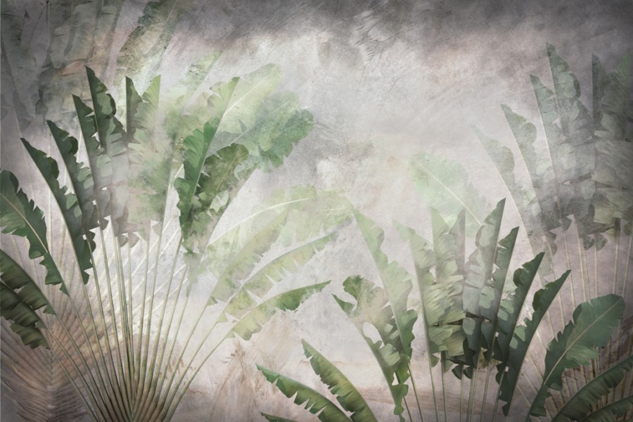 Fototapete mit tropischem Motiv Grüne Fächer im Nebel - Bild Nummer 2