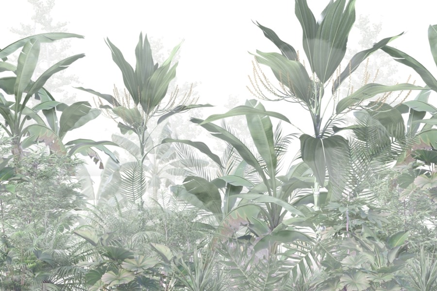 Fototapeta z tropikalną dżunglą na jednolitym tle Gąszcz Roślin - zdjęcie numer 2