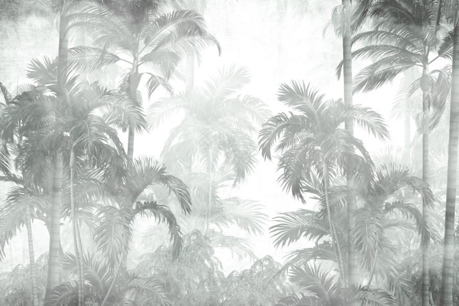 Fototapeta w egzotycznym klimacie i odcieniach szarości Mgła Wśród Palm - zdjęcie numer 2