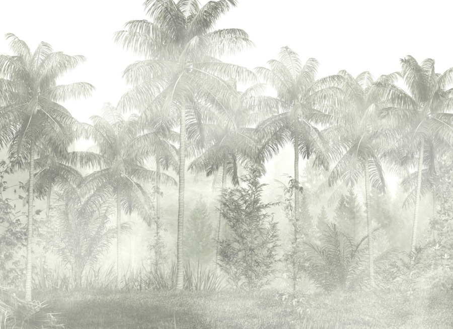 Fototapete in Grautönen Palmen und Nebel - Bild Nummer 2