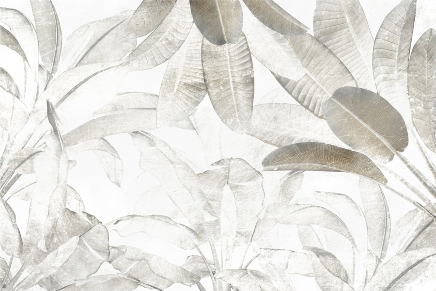 Fototapeta z egzotycznym motywem roślinnym w odcieniach szarości i brązu Duże Liście Za Mgłą - zdjęcie numer 2