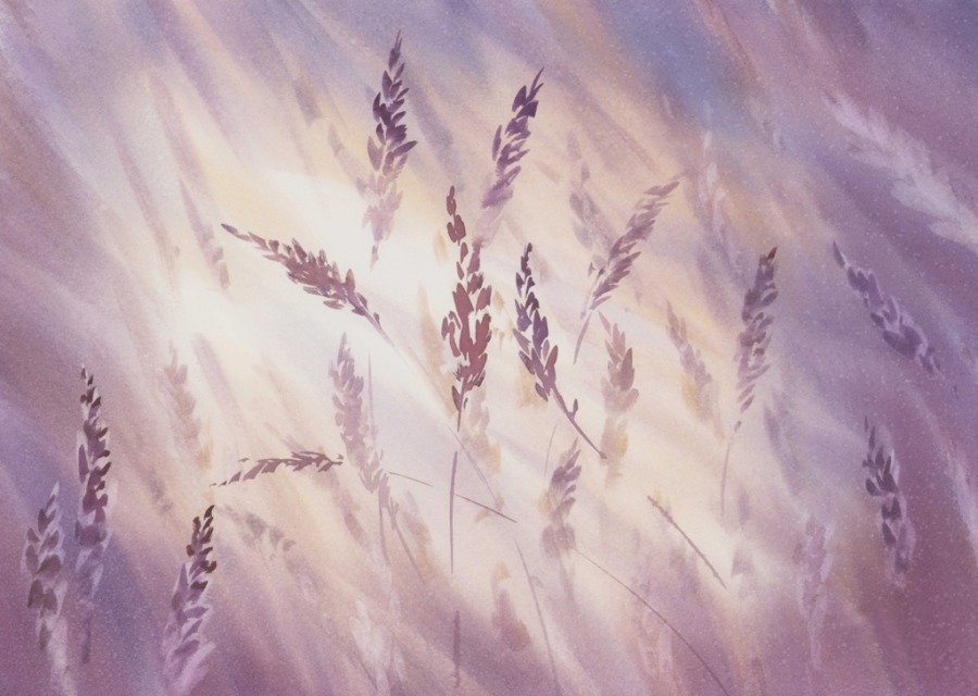 Fototapeta w ciepłych odcieniach fioletu z delikatnym motywem trawy na wietrze Fioletowa Wiotkość Traw do sypialni - zdjęcie numer 2