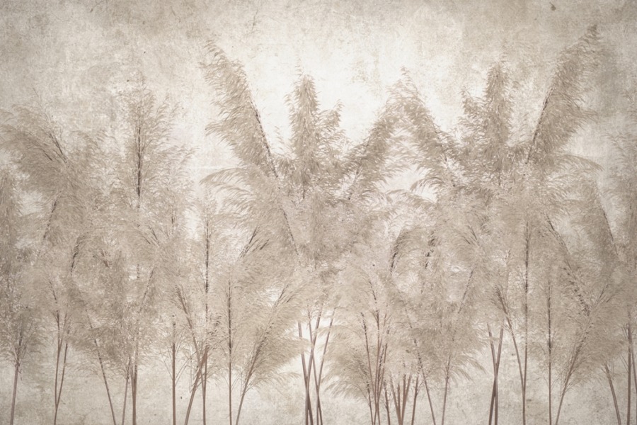 Fototapeta w ciepłych odcieniach Pióropusze Traw w Sepii - zdjęcie numer 2
