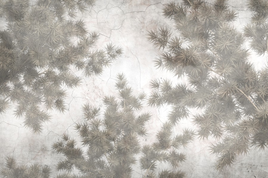 Fototapete in Grautönen Pflanzen auf einer rissigen Oberfläche - Bild Nummer 2