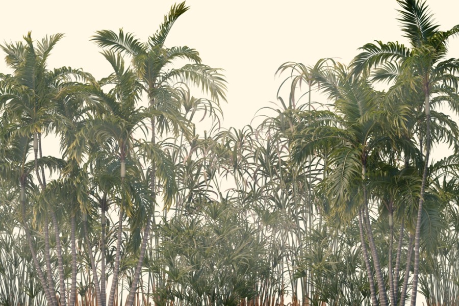 Fototapeta z zielenią egzotycznej dżungli Palmy Wąskolistne - zdjęcie numer 2