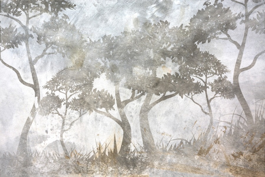 Fototapeta w stonowanych odcieniach szarości Powyginane Drzewa - zdjęcie numer 2