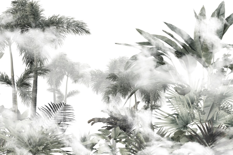 Fototapete im skandinavischen Stil mit tropischem Dschungel in Grautönen Tops of the Palms Beyond the Mist - Bild Nummer 2