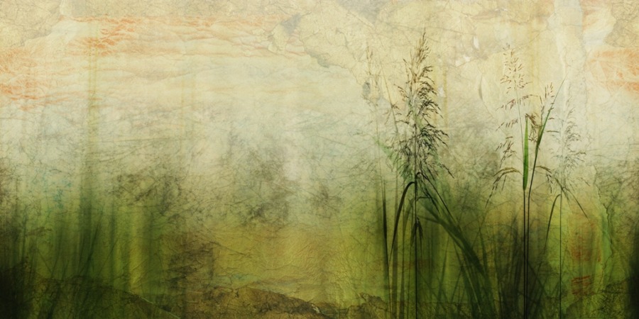 Fototapeta z motywem roślinnym w soczystych odcieniach Zieleń Traw - zdjęcie numer 2
