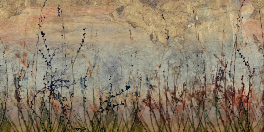Fototapete in heterogenen Farbtönen mit Blumenmotiv Dark Meadow - Bild Nummer 2