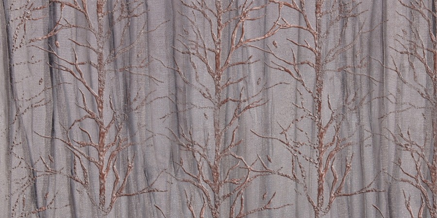 Fototapeta z motywem późnojesiennego lasu w ciemniejszej tonacji Drzewa Bez Liści - zdjęcie numer 2