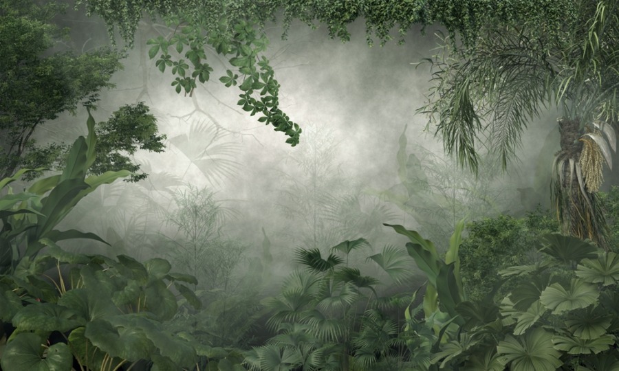Wandmalerei in Grüntönen mit tropischem Dschungel Licht im grünen Tunnel - Bild Nummer 2