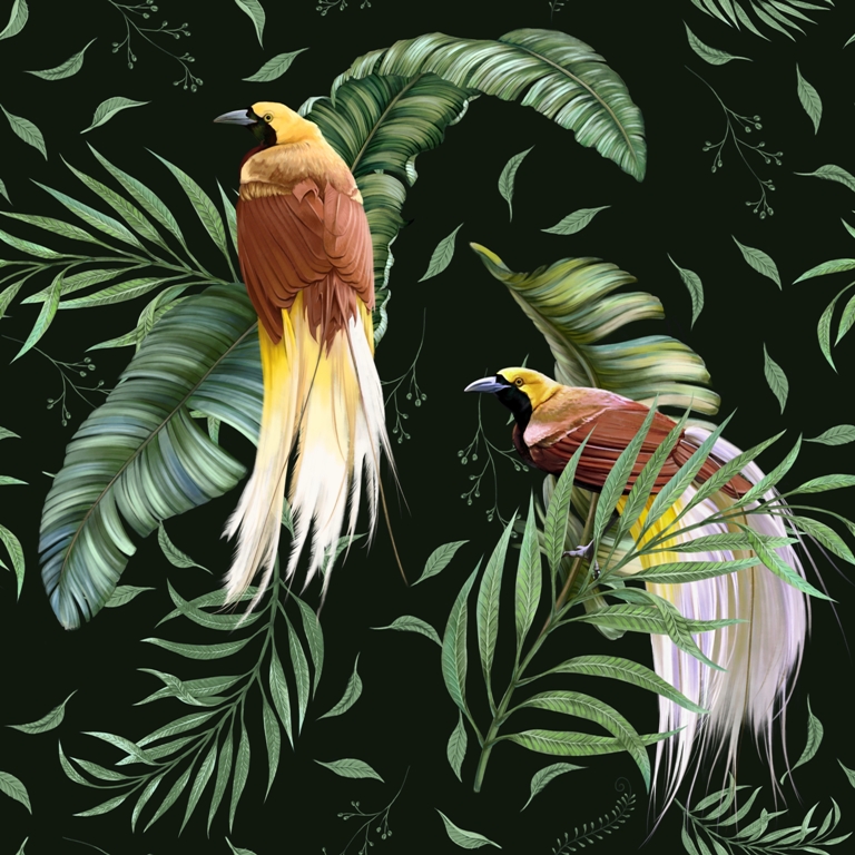 Fototapete auf dunklem Hintergrund mit tropischem Motiv Paar exotischer Vögel - Bildnummer 2