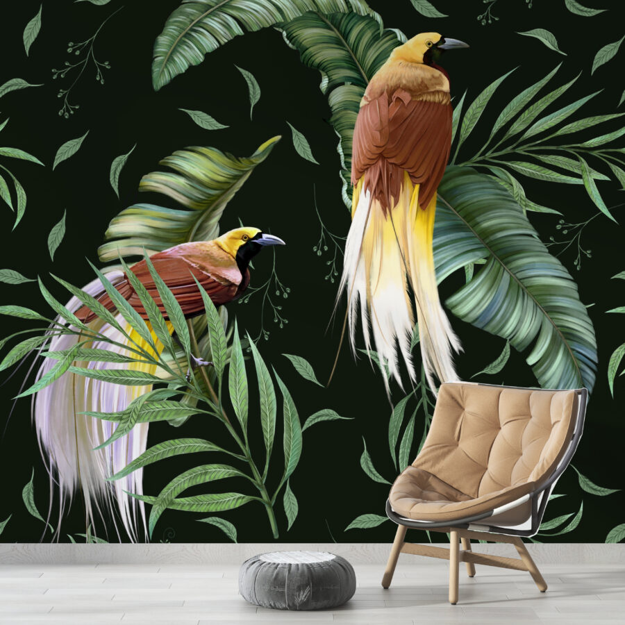 Fototapete auf dunklem Hintergrund mit tropischem Motiv Paar exotischer Vögel - Hauptproduktbild