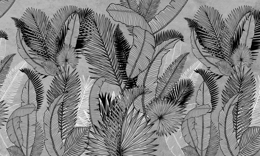 Fototapete mit exotischer Flora in Schwarz- und Grautönen Blätter auf grauem Hintergrund - Bildnummer 2