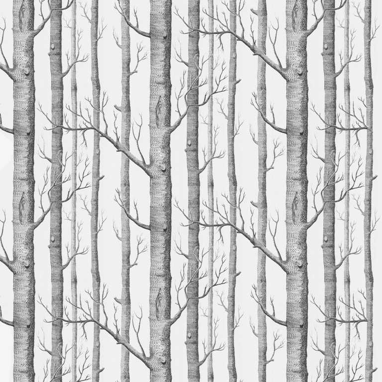 Fototapeta oryginalna przedstawiająca las bez liści w odcieniach eleganckiej szarości Ściana Drzew - zdjęcie numer 2
