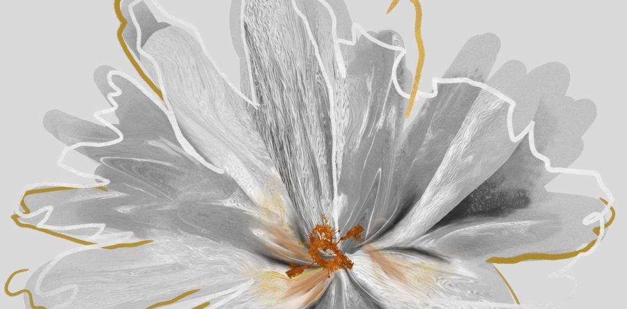 Fototapete in modernem Stil und weichen Tönen voller Eleganz Graue Blume - Bild Nummer 2