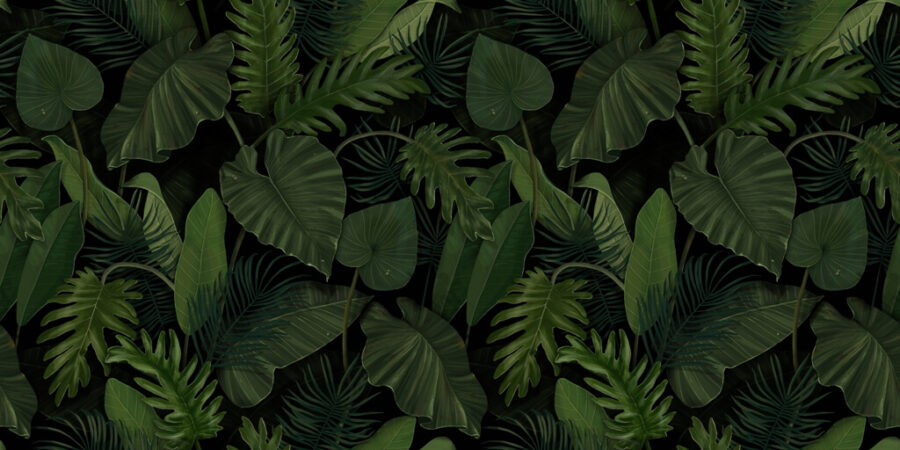 Fototapete in dunklen und lebhaften Farben mit exotischen Pflanzen - die perfekte Ergänzung für ein modernes Wohnzimmer Green Leaves - Bild Nummer 2