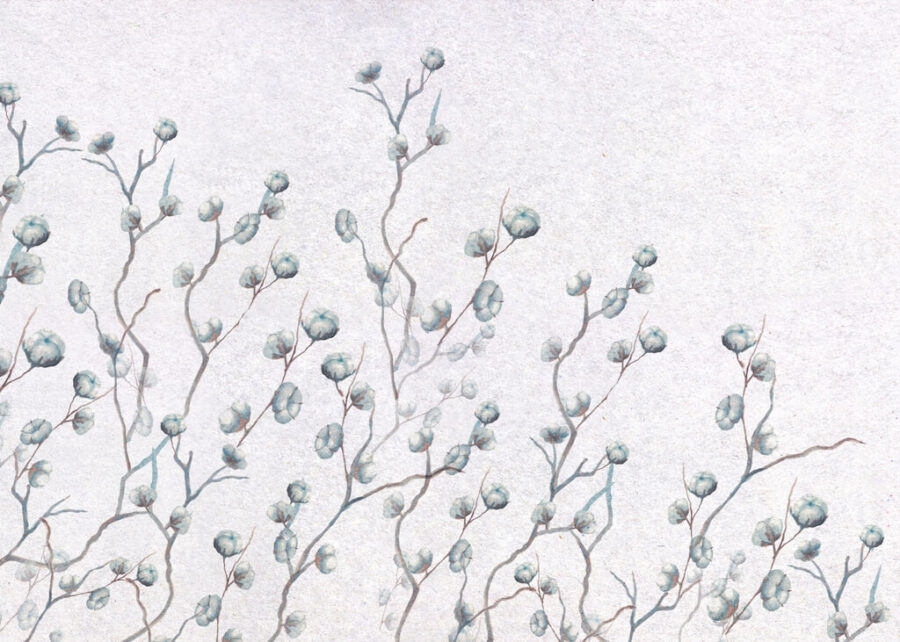 Fototapeta z subtelnym motywem kwiatów bawełny w odcieniach błękitu Kwiaty Bawełny - zdjęcie numer 2