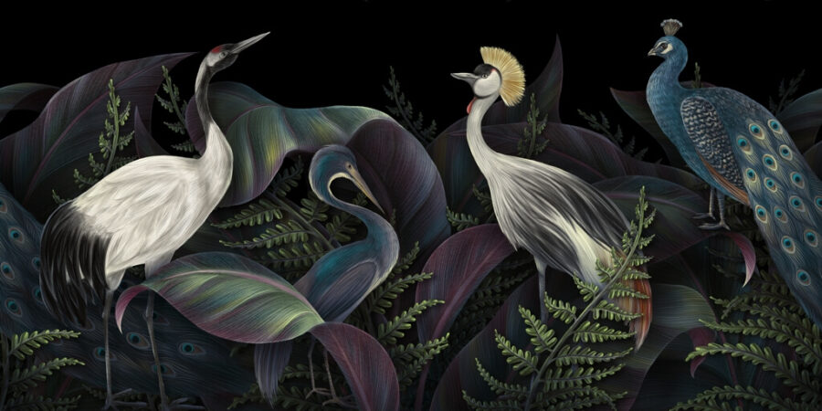 Fototapete in dunklen Tönen mit exotischen Tieren Würdige Vögel - Bild Nummer 2