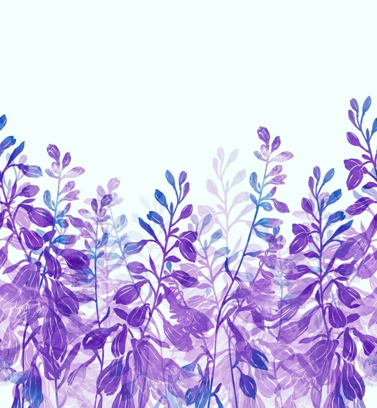 Fototapete mit Wildpflanzen in kräftigen Farbtönen auf hellem Hintergrund Violette Pflanzen - Bildnummer 2