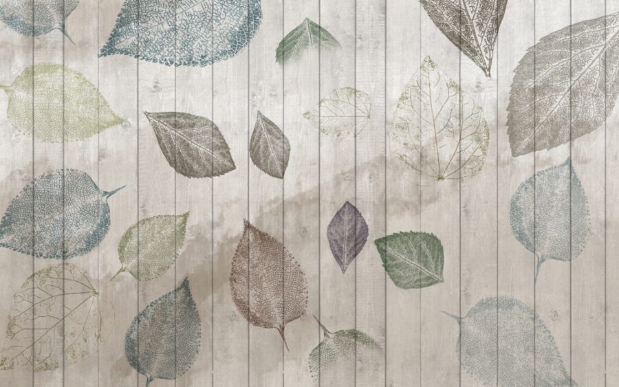 Fototapete in gedeckten Farben, ideal für ein modernes Wohnzimmer Leaves on Planks - Bild Nummer 2