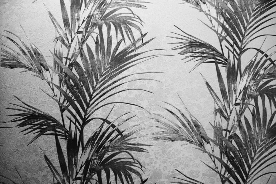 Fototapeta z tropikalnym motywem w ciemnej eleganckiej tonacji Palmy w Ciemności - zdjęcie numer 2