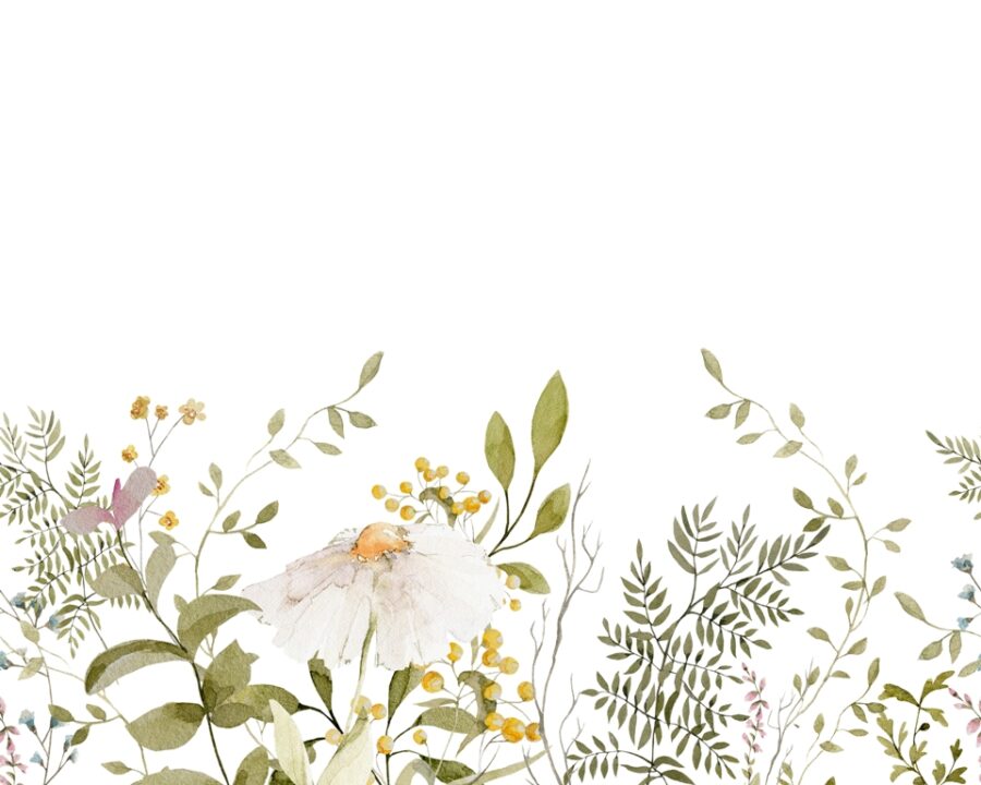 Helle, tonale Fototapete mit zartem botanischem Motiv Kamillenblüte - Bild Nummer 2