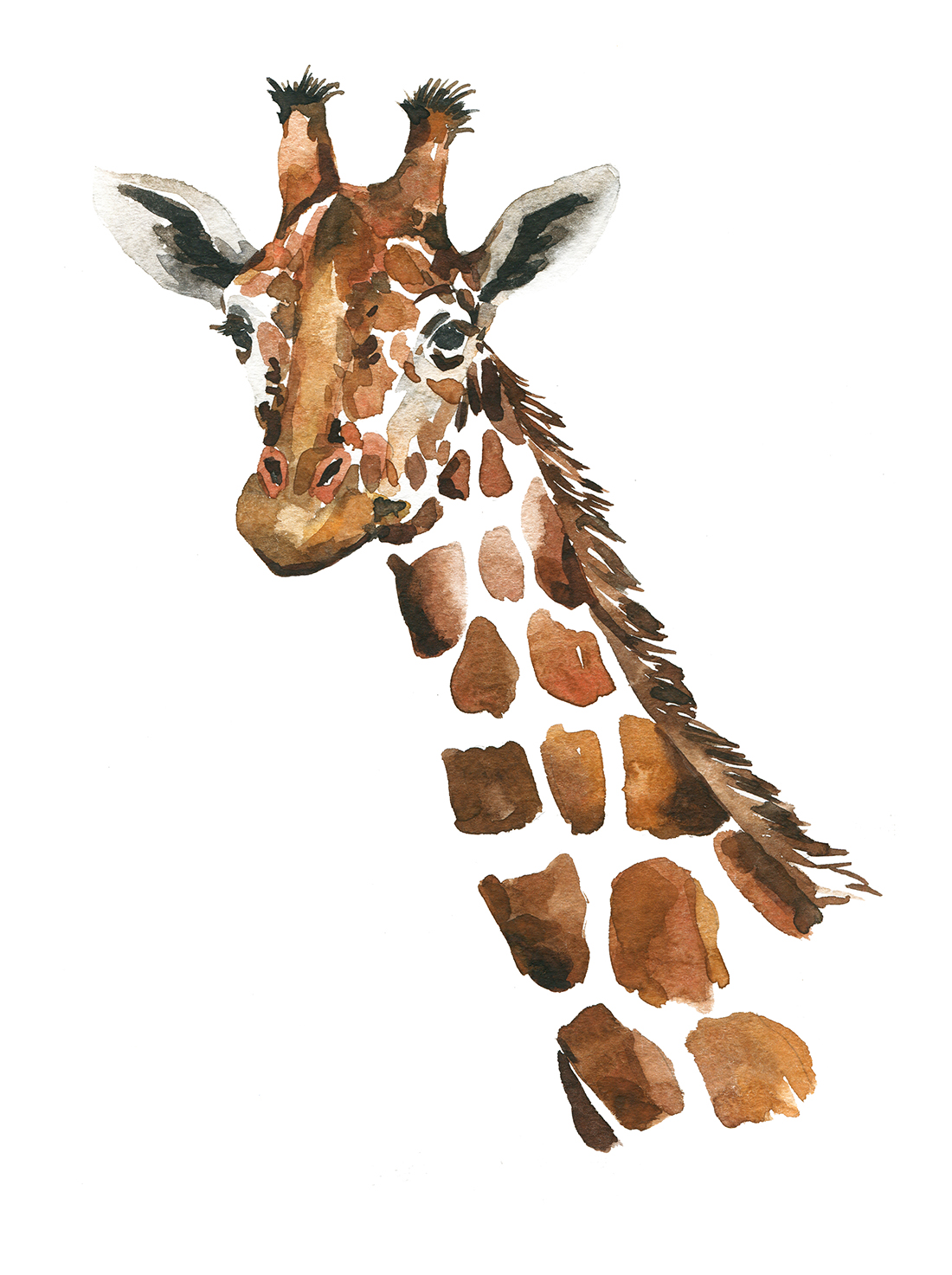 Aquarell,Illustration,einer,Giraffe.,Die,Schnauze,des,Tieres.