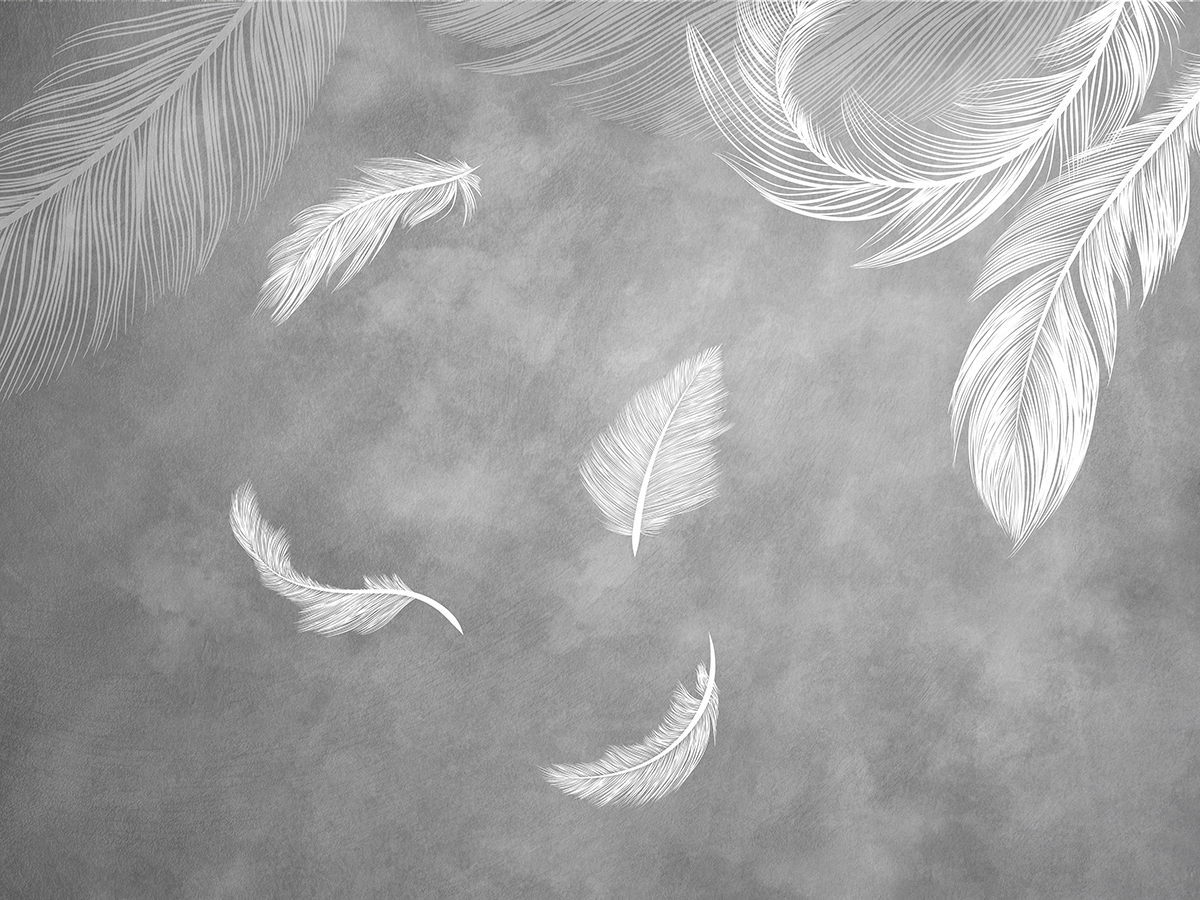 Feathers,In,The,Air,,Sunlight,,Texture,Background.