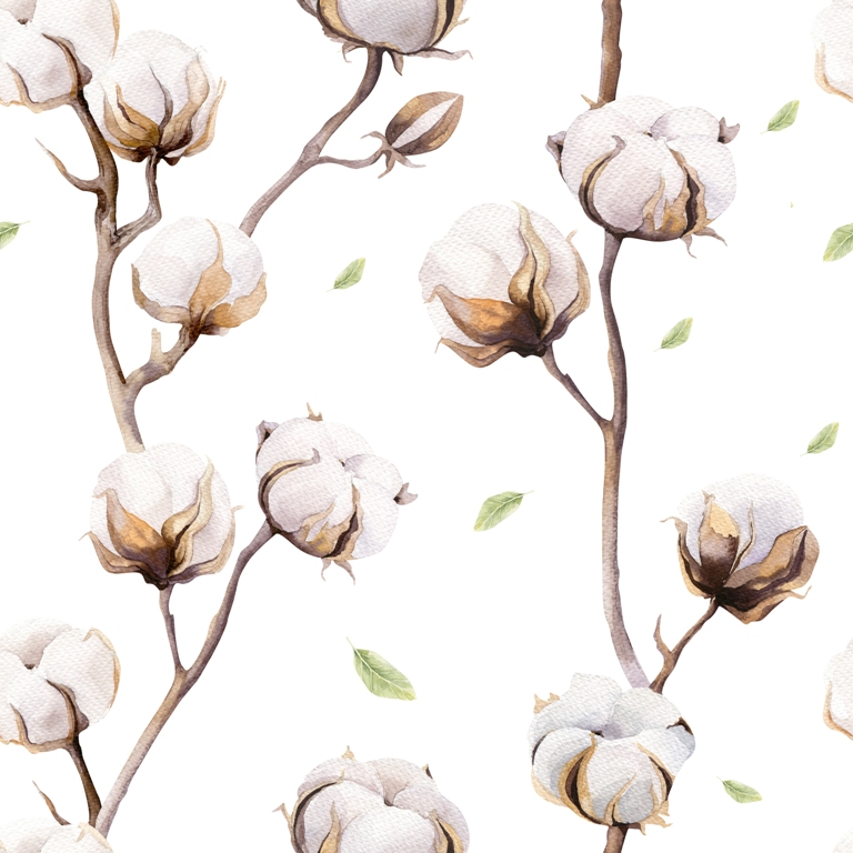 Fototapeta-Galazki-Kwiatow-Bawelny_543730654-1