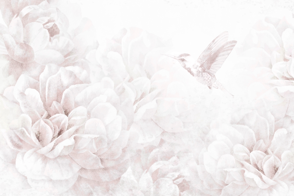 Fototapeta-Koliber-w-Bieli_2376749683-1