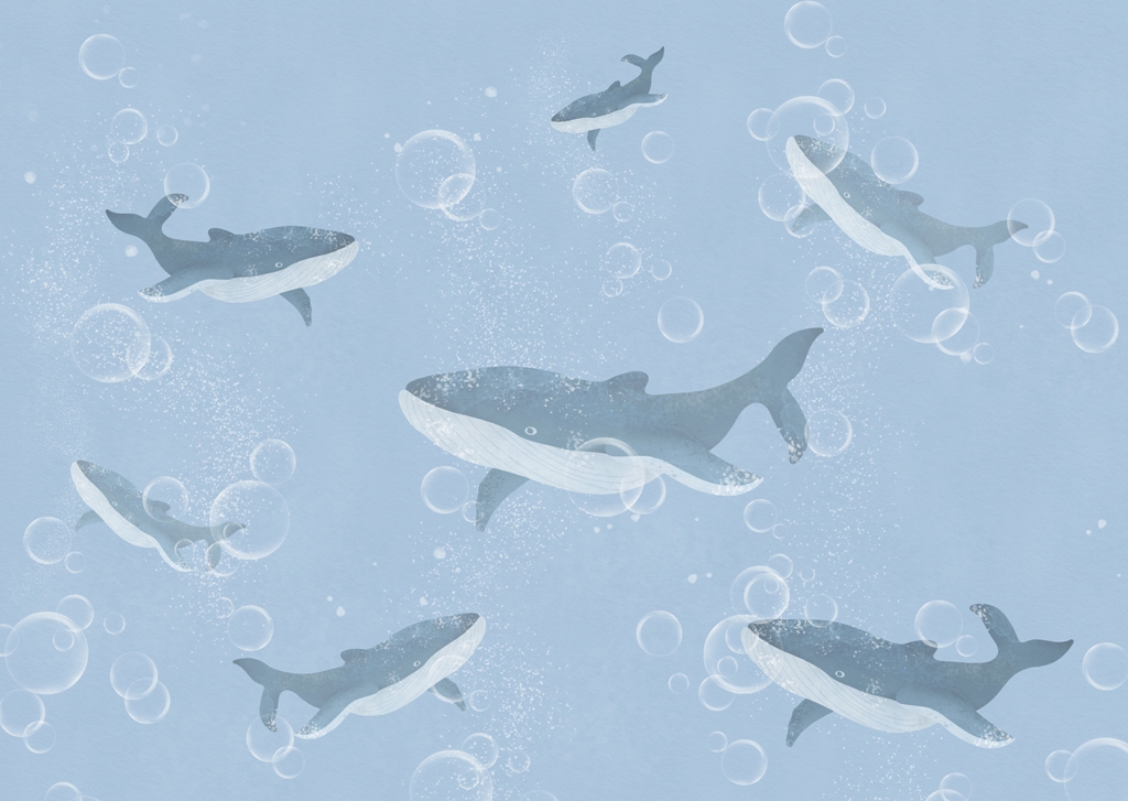 Fototapeta-Stado-Wielorybow_2366994219-1