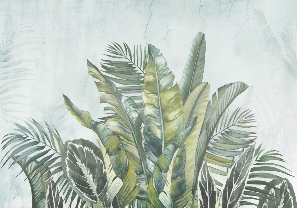 Fototapeta-Zielen-Lisci-Palmowych_2316181941-1